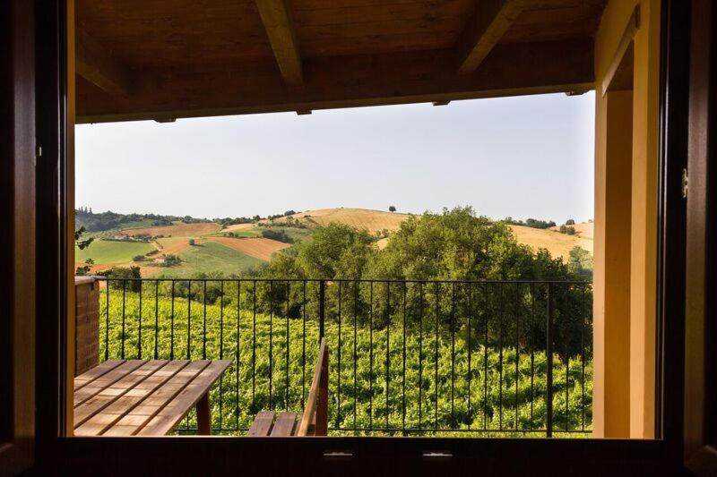 Agriturismo Vecchio Gelso Ortezzano Exteriér fotografie