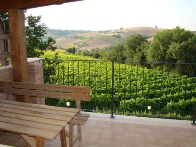 Agriturismo Vecchio Gelso Ortezzano Exteriér fotografie