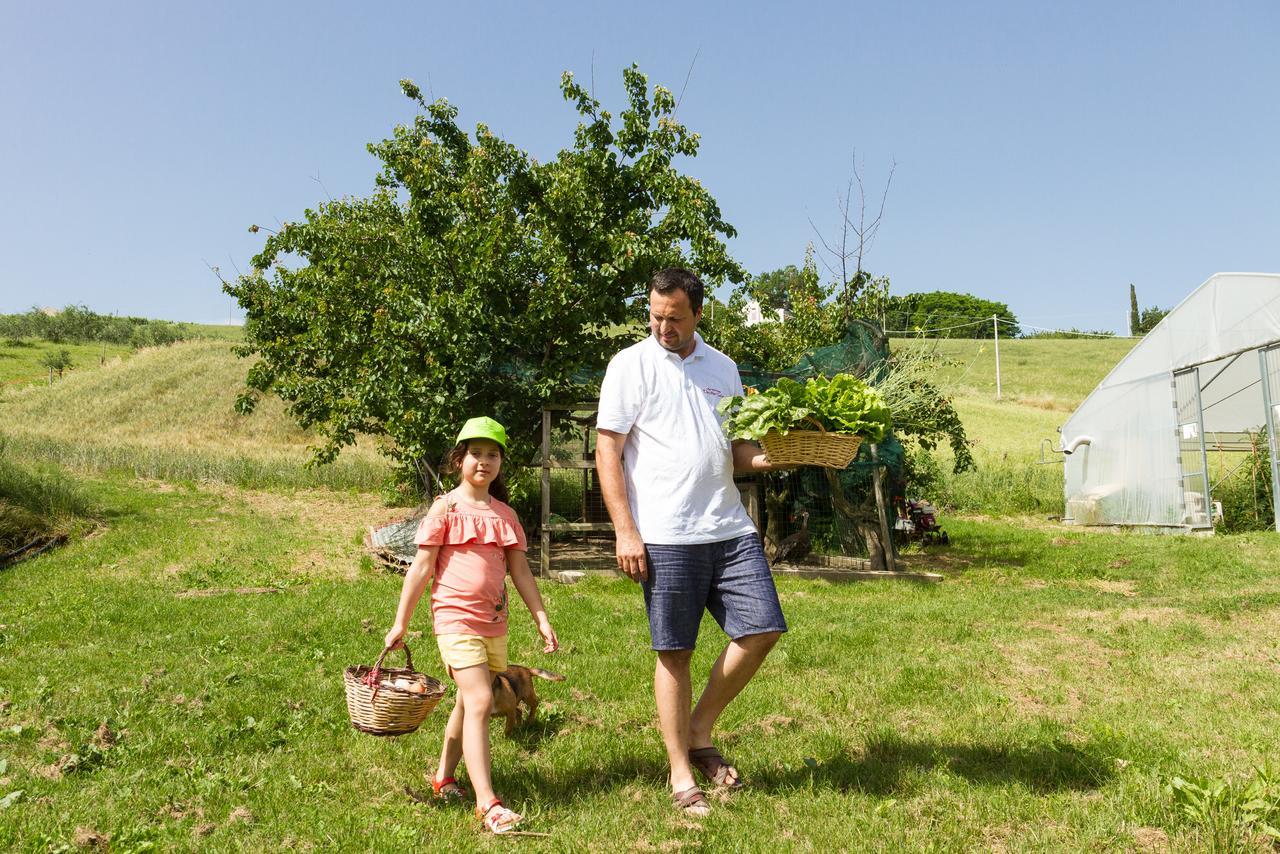 Agriturismo Vecchio Gelso Ortezzano Exteriér fotografie
